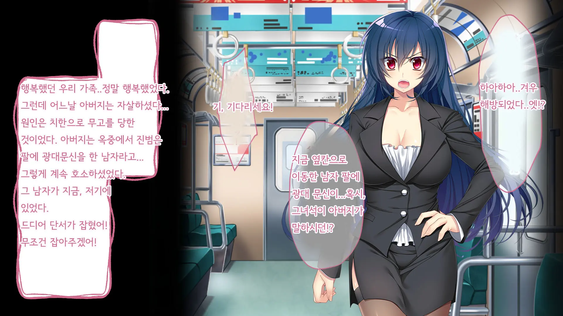Nigeba Nashi! Misshitsu Chikan Densha ~ Otori Sosakan No Hamerare Jigoku | 도망칠수 없어! 밀실치한전차 ~함정수사관의 삽입지옥~